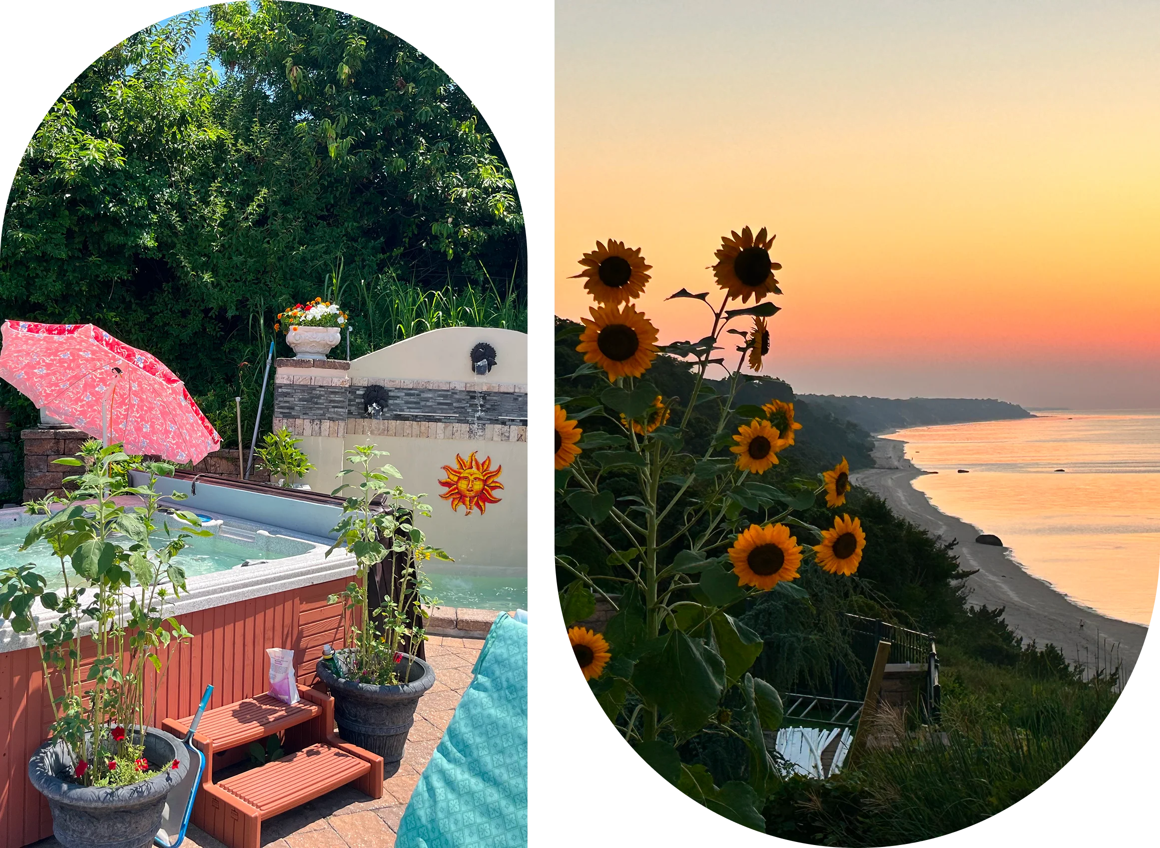 A vibrant poolside scene and a scenic sunflower sunset by the coast.